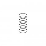 Trend WP-T5/005 Spring for Revolving Guide T5 2.13