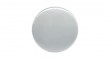 Blank Escutcheons