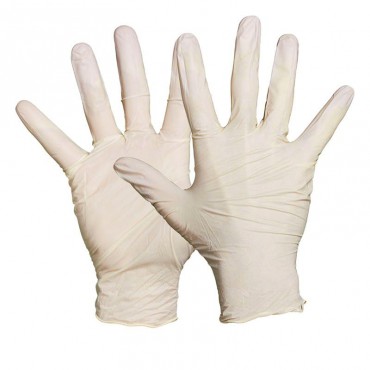 Vinyl Disposable Powdered Gloves XL Box of 100