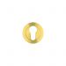Euro Profile Escutcheon Rosso Tecnica RT001PVDSB Satin Brass
