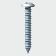 Flange Head Self Tapping Screws