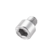 Trend WP-DGP/11 Stop Screw Socket Cap Head for DG/PRO M6 x 10mm 1.18