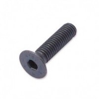 Trend WP-SCW/56 M6 x 12mm Countersunk Small Socket Machine Screw 1.03