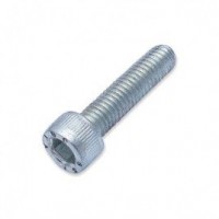 Trend WP-SCW/79 M6 x 25mm Cap Socket Machine Screw 1.06