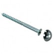 Mirror Screws